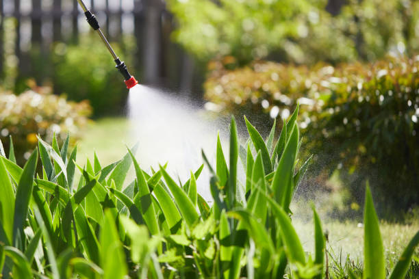 24/7 Emergency Ant Control experts in Rochelle, IL