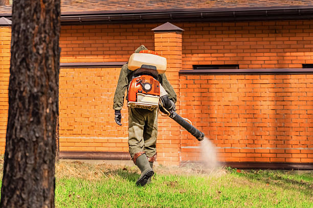 Top rated local Ant Control specialists in Rochelle, IL